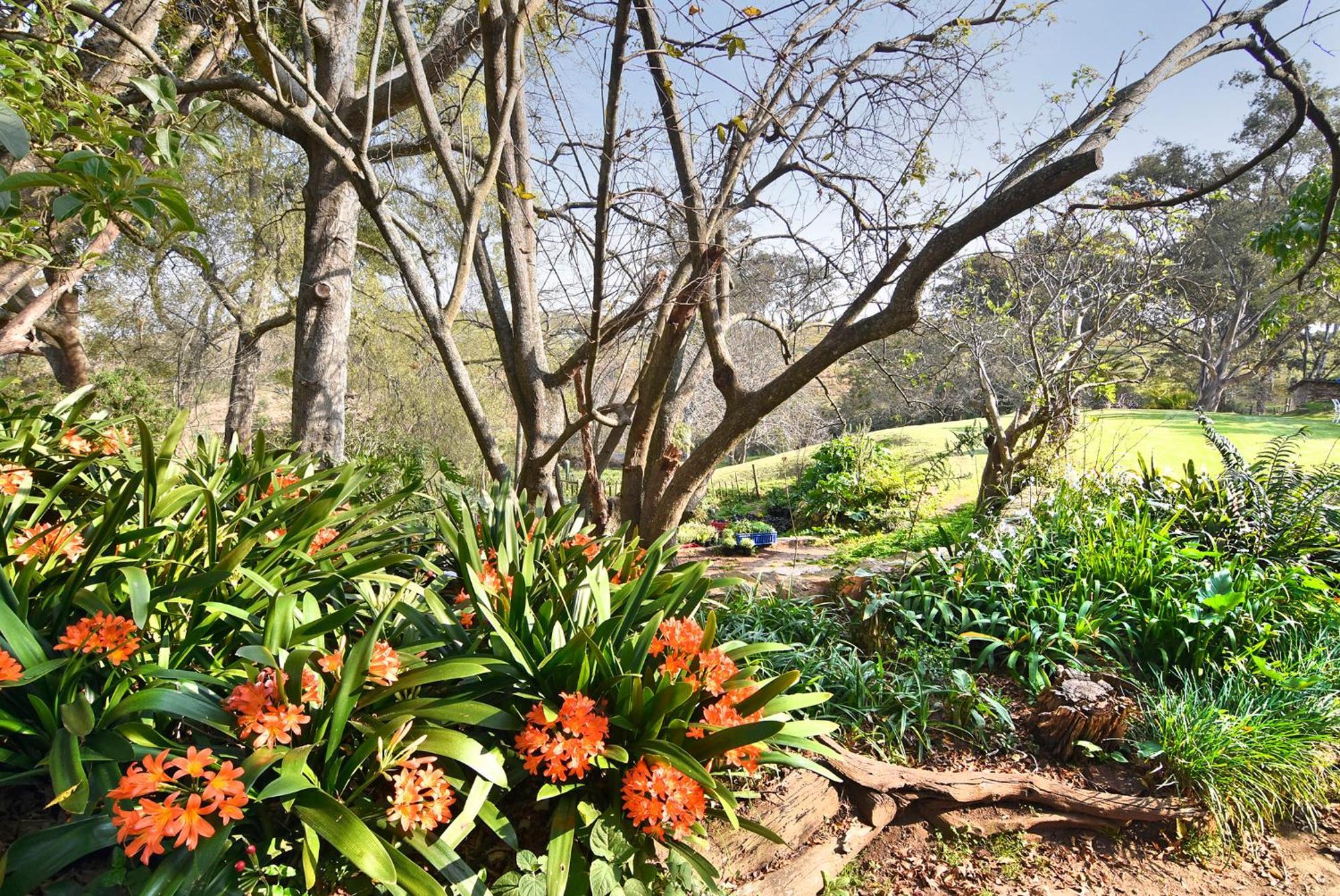 אדו Zuurberg Mountain Village מראה חיצוני תמונה